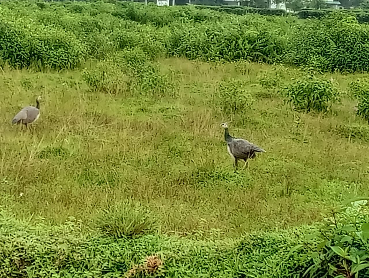 Dooars Adventure Package 6